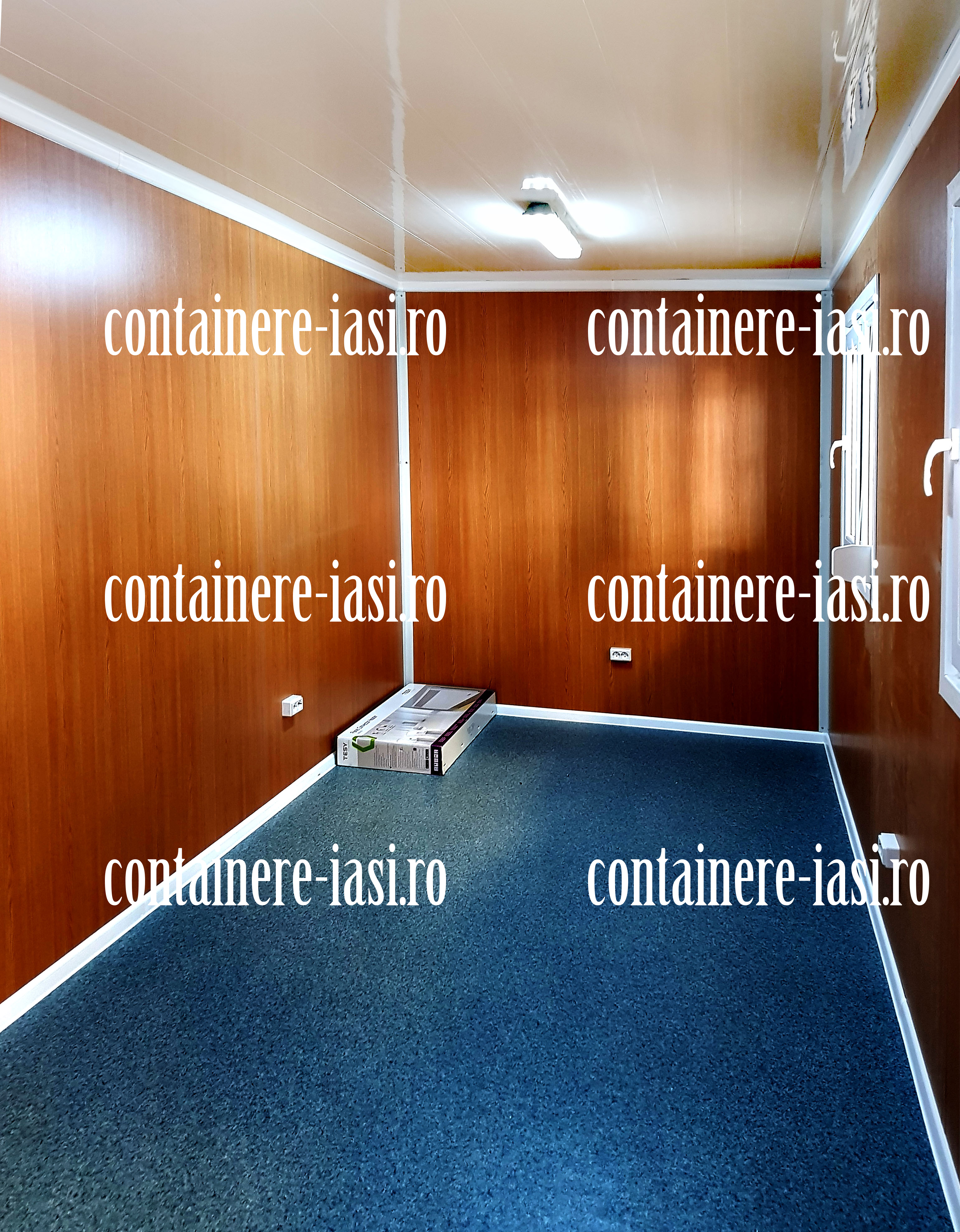 cat costa un container Iasi